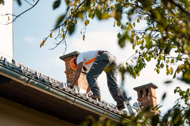 Best Roof Gutter Cleaning  in Manatee Road, FL