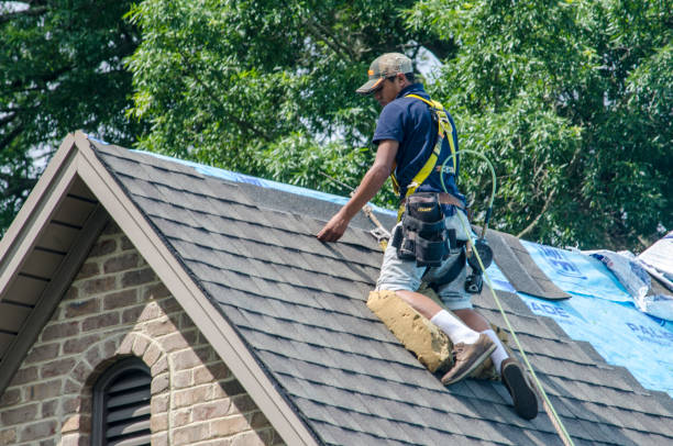 Quick and Trustworthy Emergency Roof Repair Services in Manatee Road, FL